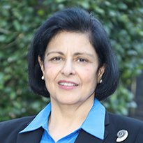 Image of Silviu Livescu